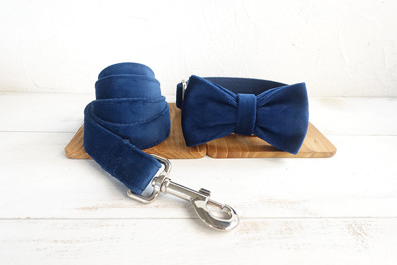 HKM-661267 Navy Blue Velvet Bowknot Dog Collar - Available in XS to XL Sizes