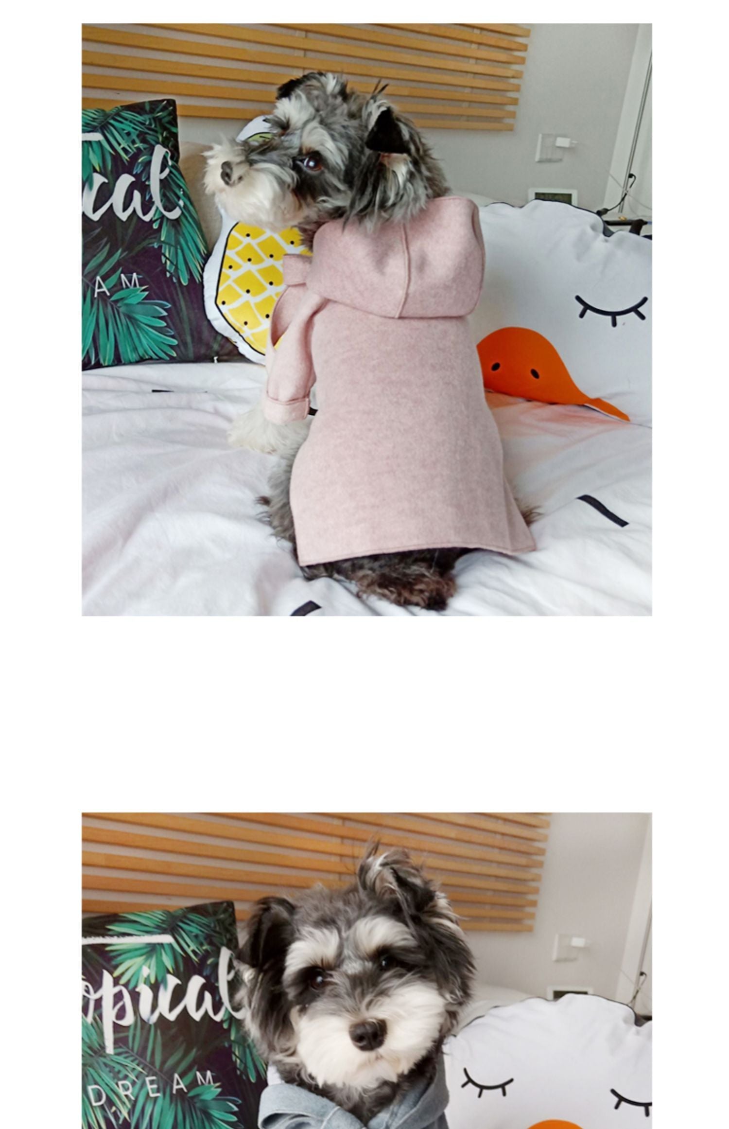 HKM-661523 Cozy Fall and Winter Woolen Coats for Pets in Light Rice, Western Powder, and Blue-Gray