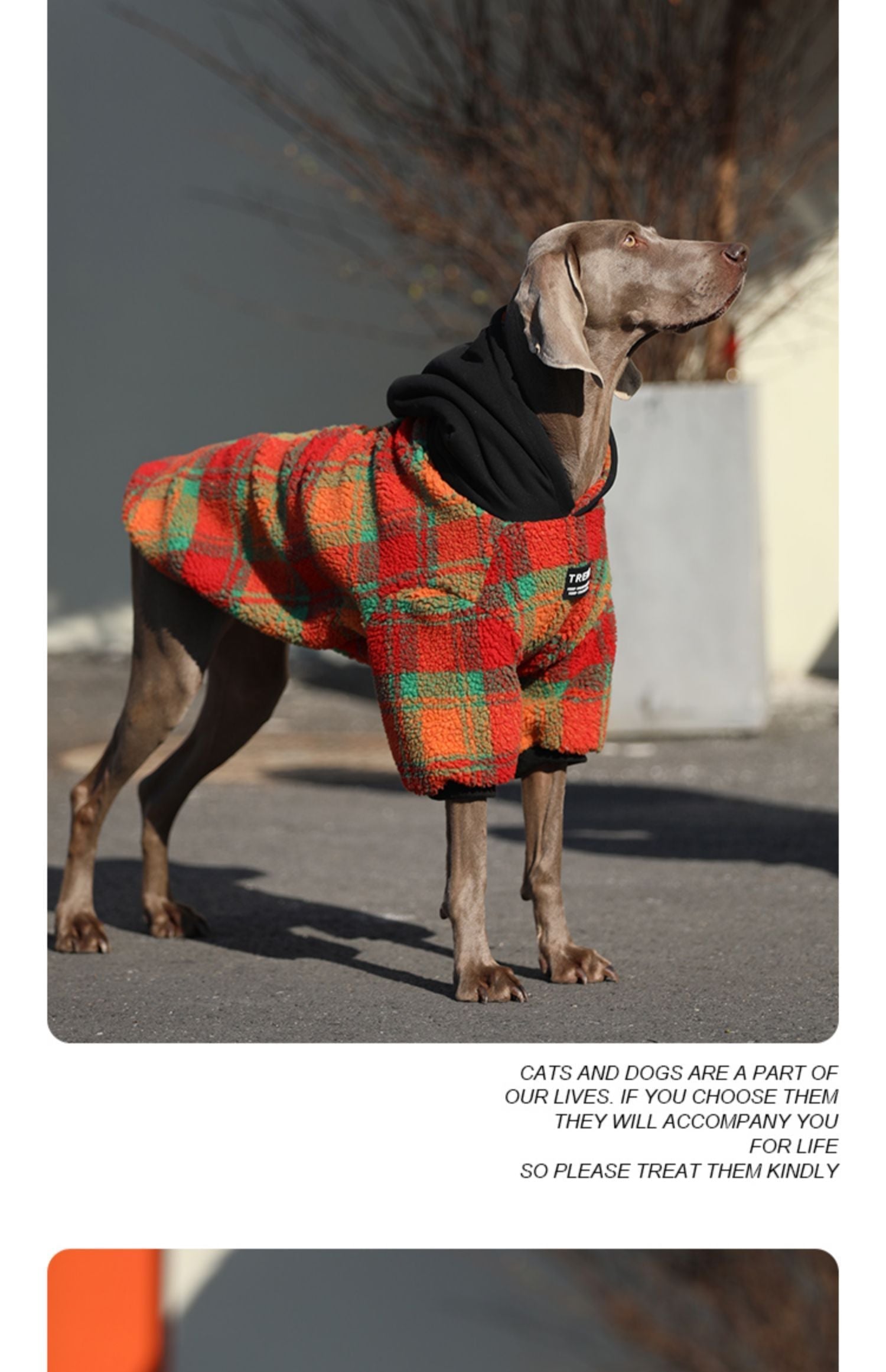 HKM-662483 Thick and Warm Casual Clothing for Large Dogs in Orange Grid and Green Stripe
