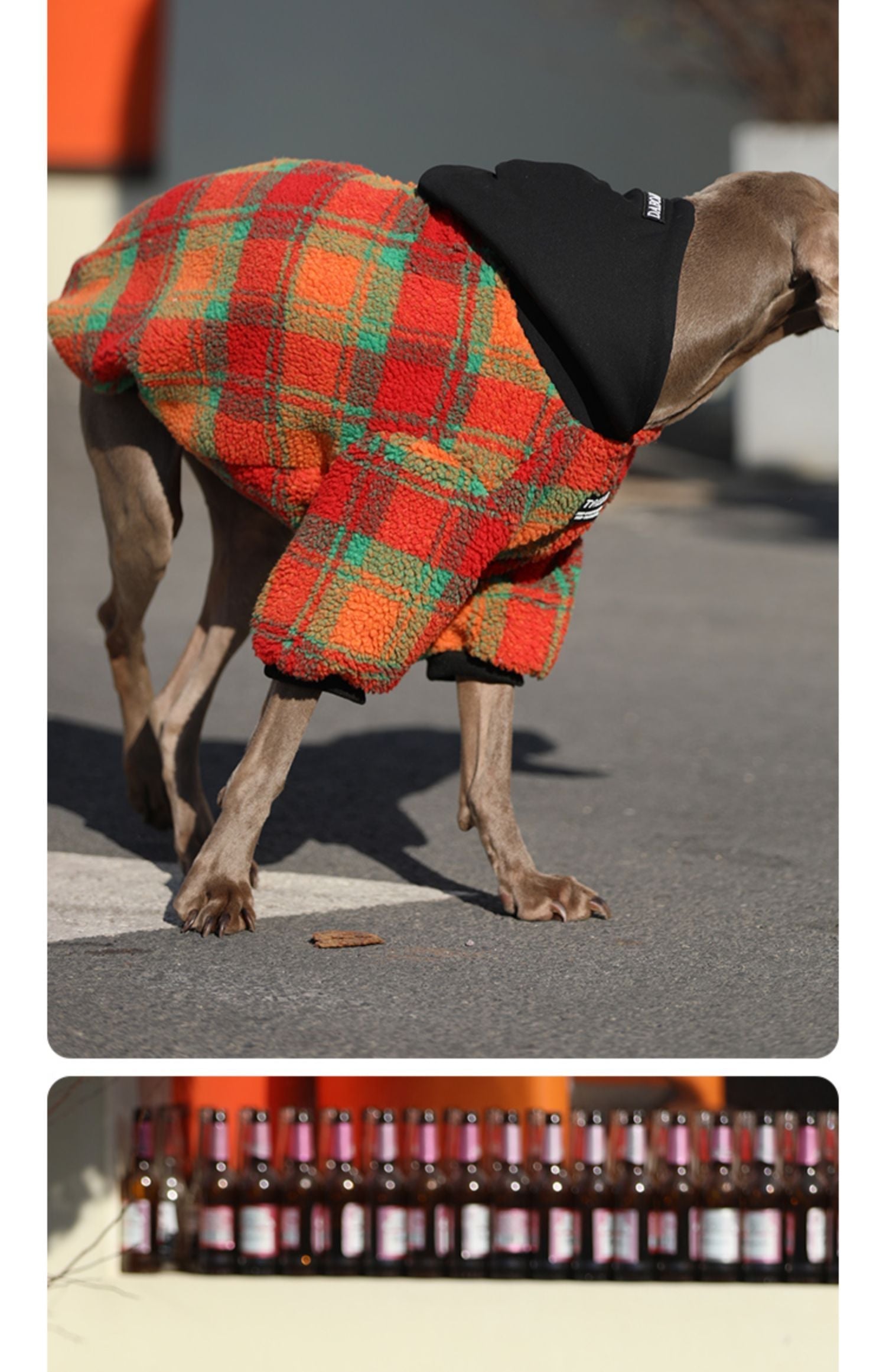 HKM-662483 Thick and Warm Casual Clothing for Large Dogs in Orange Grid and Green Stripe