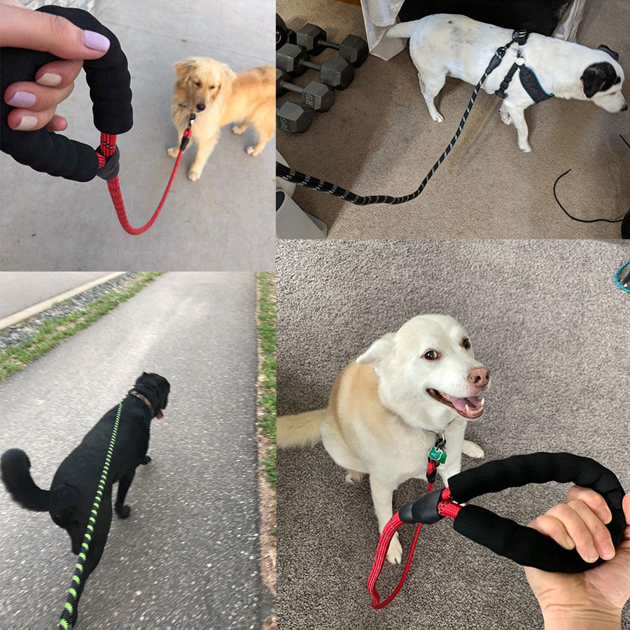 HKM-663763 Small Medium Sized Pet Dog Luminous Leash Chain Puppies