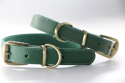 HKM-665363 Green One-layer Leather Dog Collar - Adjustable, Durable Design