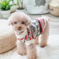 HKM-667091 Soft Casual Velvet Teddy Sweater for Pets - Blue & Milky White, Sizes S to XXL