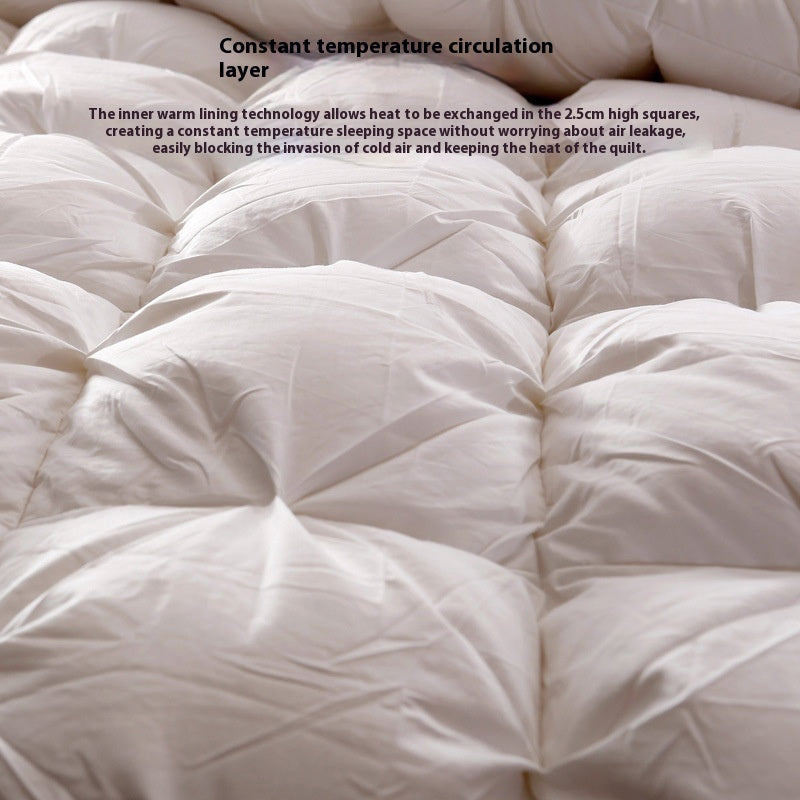 HKM-669139 Twisted Cotton Goose Down Duvet Insert for Cozy Autumn and Winter Warmth