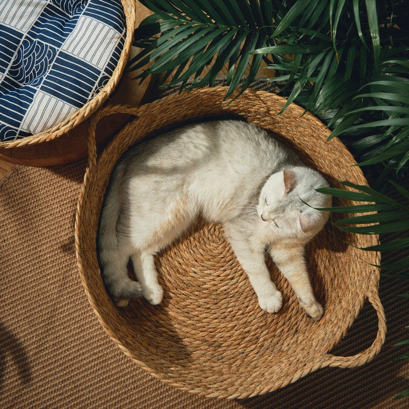 HKM-671123 Cattail Cat Frame with Rattan Litter and Cozy Sleeping Pad - Stylish and Simple Design