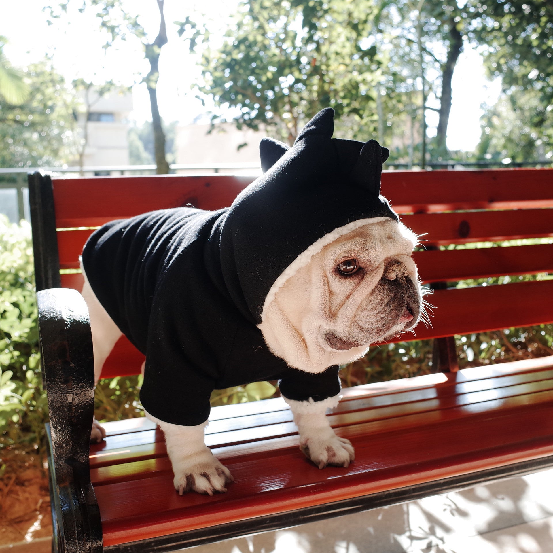 HKM-671379 Dinosaur Hooded Sweater for Dogs - Warm Lamb Fleece Winter Jacket in Black