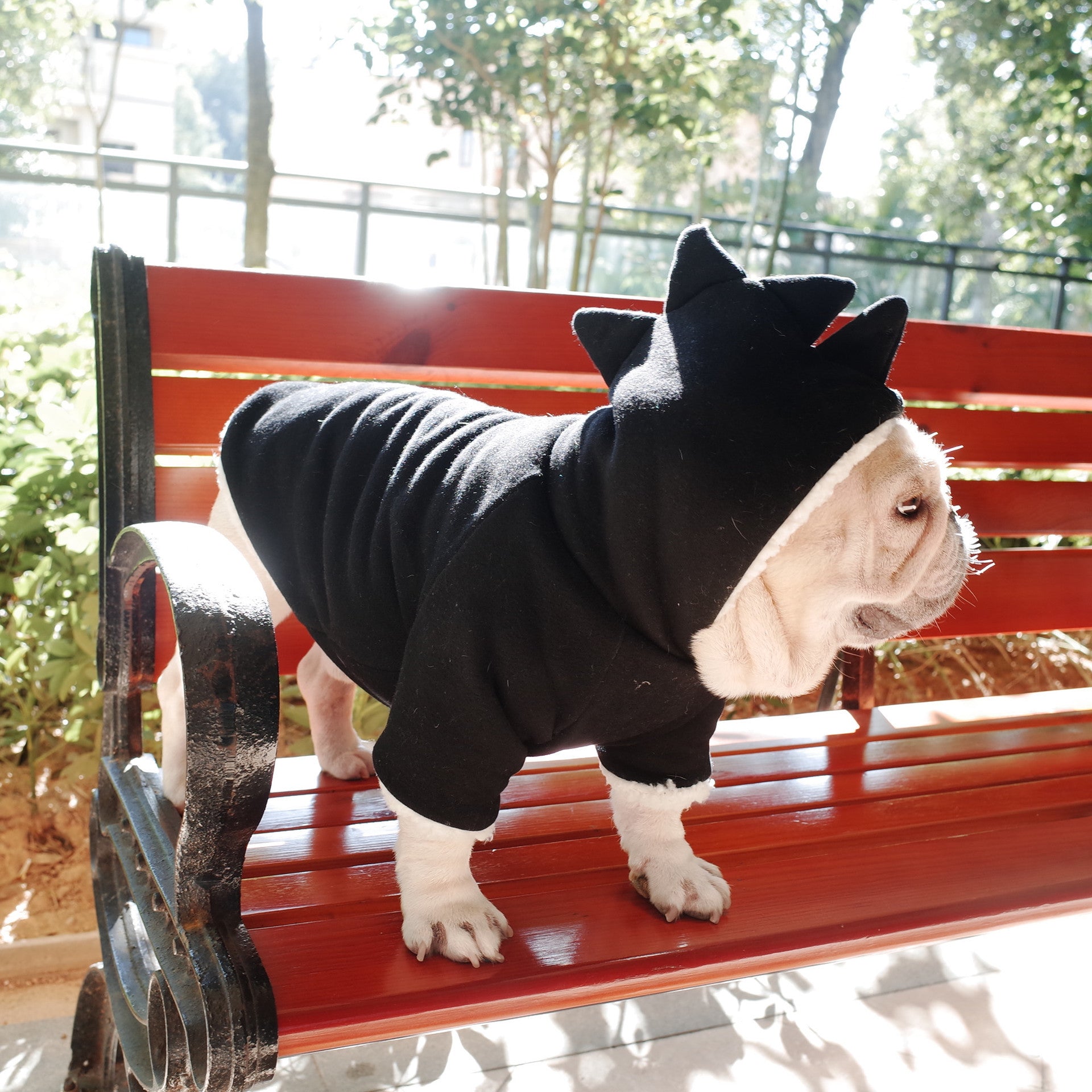 HKM-671379 Dinosaur Hooded Sweater for Dogs - Warm Lamb Fleece Winter Jacket in Black
