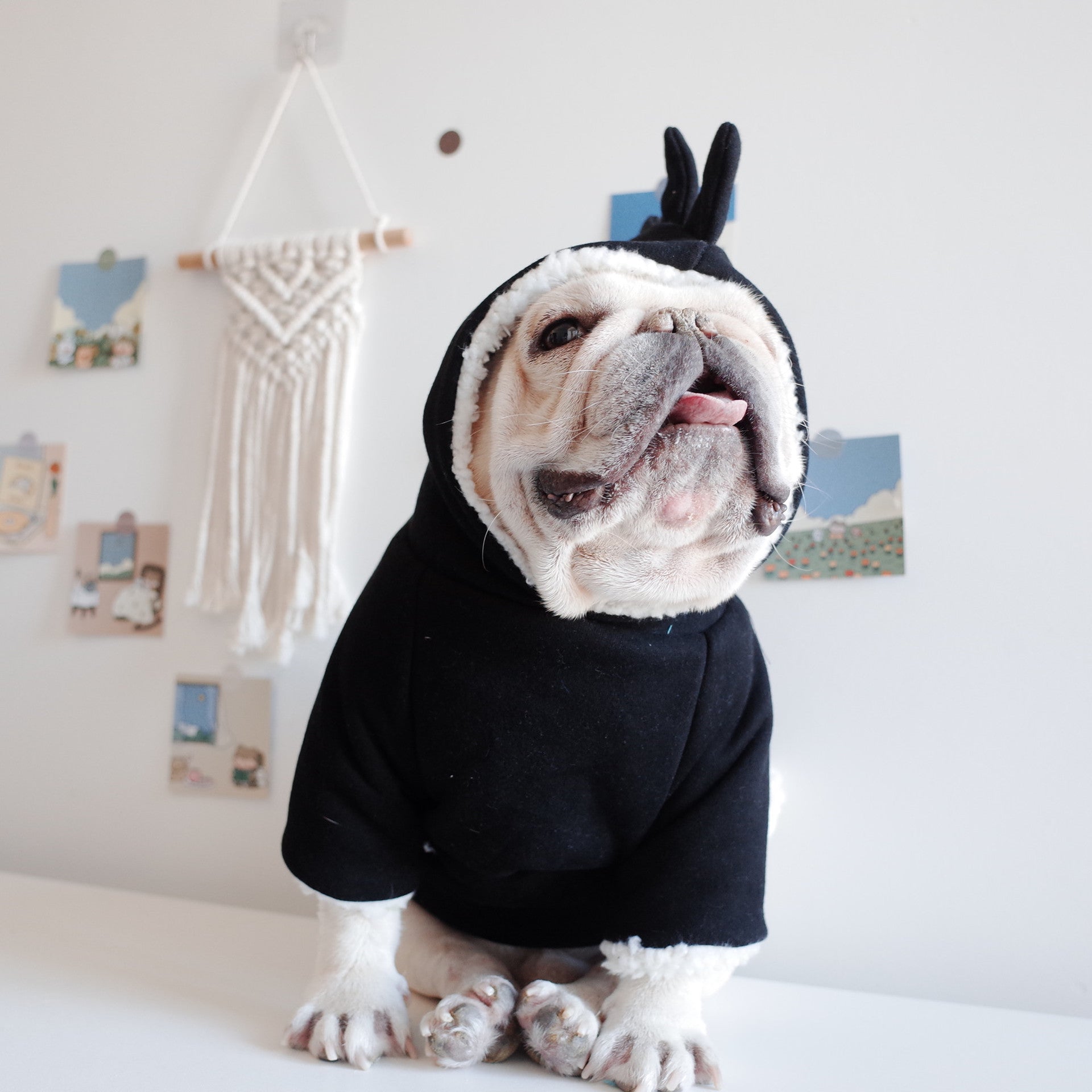 HKM-671379 Dinosaur Hooded Sweater for Dogs - Warm Lamb Fleece Winter Jacket in Black