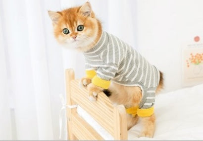 HKM-672787 Casual Four-Legged Clothing for Cats - Antihair Shed Options in Various Colors