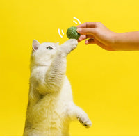HKM-675027 Cat Balls Cat Hide And Seek Toys Kitten Teasing Stick Self-Help Relief Sisal Balls Cat Teething Pea Toy Balls Supplies