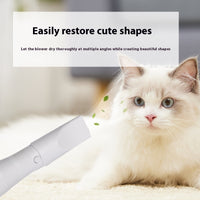 HKM-675347 Two-in-One Electric Pet Hair Dryer with Blowing Comb for Dogs and Cats