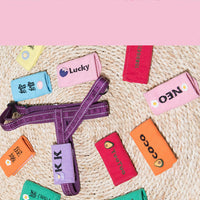 HKM-675923 Customizable Dog Nameplate Cloth Stickers with Embroidery in Various Colors