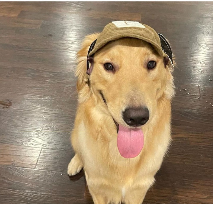 HKM-676243 Brown Corduroy Dog Hat with Breathable Sunscreen Protection