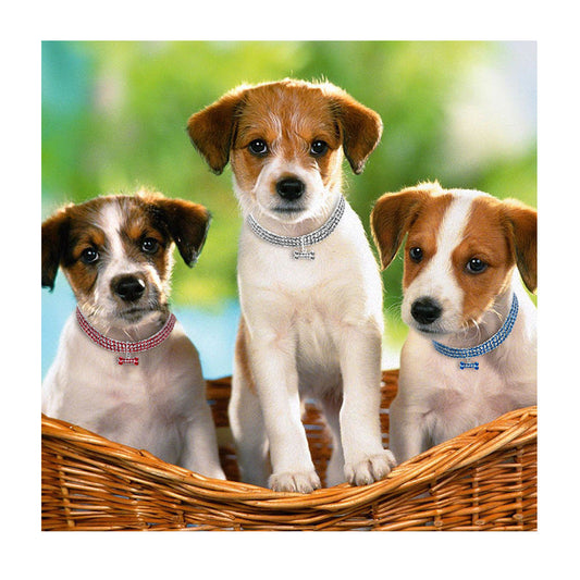 HKM-676563 Alloy Dog Necklace in White, Pink, and Blue - Adjustable Sizes S, M, L