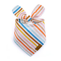HKM-676819 Striped Design Polyester Dog Towel for All Seasons