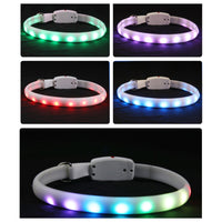 HKM-680019 LED Safety Glow Dog and Cat Collar – Adjustable, USB Rechargeable, Waterproof Night Visibility Accessory