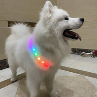 HKM-680019 LED Safety Glow Dog and Cat Collar – Adjustable, USB Rechargeable, Waterproof Night Visibility Accessory