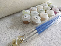 HKM-680019 Paint by Numbers DIY Kit for Creative Relaxation and Home Decor