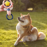 HKM-680851 Durable Squeaky Dog Chew Toys for Large Breeds - Interactive Dental Play for Oral Health