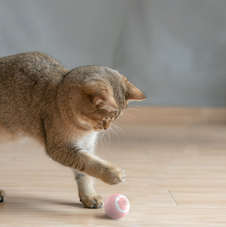HKM-681619 Smart Self-Moving Cat Toy Ball - Interactive Bouncing & Rolling Kitten Play Ball with Rechargeable Design