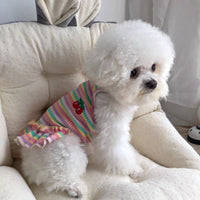 HKM-681939 Rainbow Striped Dog T-Shirt – Fashionable Sling Apparel for Pets
