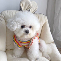 HKM-681939 Rainbow Striped Dog T-Shirt – Fashionable Sling Apparel for Pets