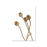 HKM-683475 Wild Boho Woman Grass Reed Modern Canvas Art - Decorative Rectangular Wall Painting