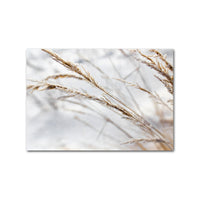 HKM-683475 Wild Boho Woman Grass Reed Modern Canvas Art - Decorative Rectangular Wall Painting