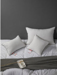 HKM-687059 Soft Arctic Velvet Pillow Core - Simple Modern Design, Multiple Sizes Available