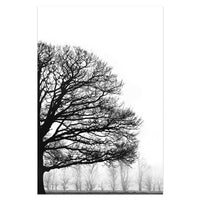 HKM-690323 Modern Black and White Winter Trees Decorative Canvas Art for Bedroom Wall Décor