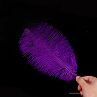 HKM-690515 Purple Ostrich Feather - Elegant Wedding Decoration Accessory, 15-75cm Lengths