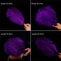 HKM-690515 Purple Ostrich Feather - Elegant Wedding Decoration Accessory, 15-75cm Lengths