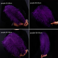 HKM-690515 Purple Ostrich Feather - Elegant Wedding Decoration Accessory, 15-75cm Lengths