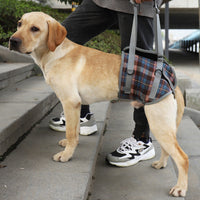 HKM-690579 Pet Rehabilitation Belt for Support and Assisted Walking - Adjustable Polyester Sling for Elderly Dogs