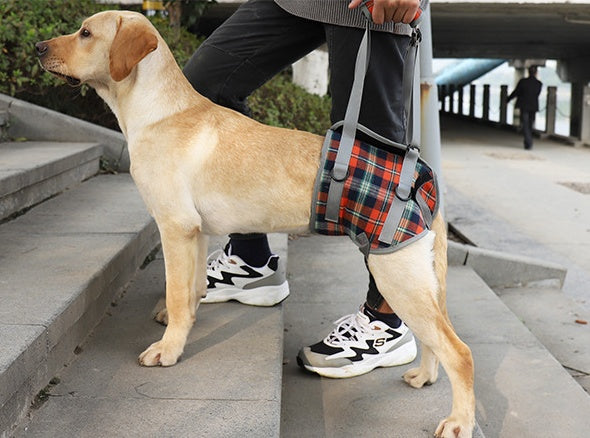 HKM-690579 Pet Rehabilitation Belt for Support and Assisted Walking - Adjustable Polyester Sling for Elderly Dogs