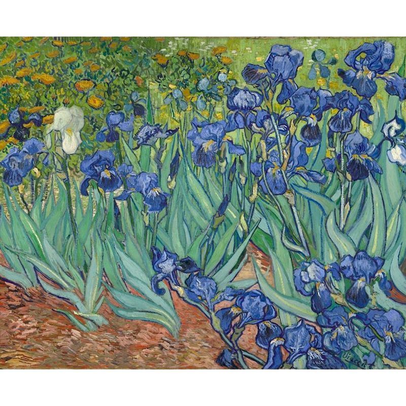 HKM-692307 Frameless Digital Oil Painting on Linen - Classic 24 Color Options, 40x50cm & 60x75cm Sizes