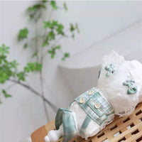 HKM-692947 Mint Green Small Plaid Two-Piece Dress for Dogs