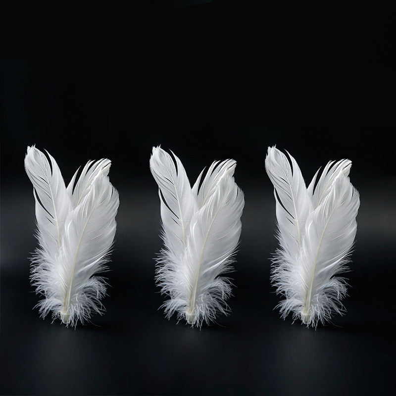 HKM-693011 Funny Cat Tumbler Toy with Feather Replacement - Interactive ABS Cat Plaything