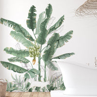 HKM-693459 Banana Tree Plant Wallpaper and Wall Sticker for Bedroom Decoration