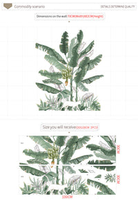 HKM-693459 Banana Tree Plant Wallpaper and Wall Sticker for Bedroom Decoration