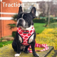 HKM-696019 Unicorn Pattern Breathable Mesh Chest Strap with Traction Rope for Pets