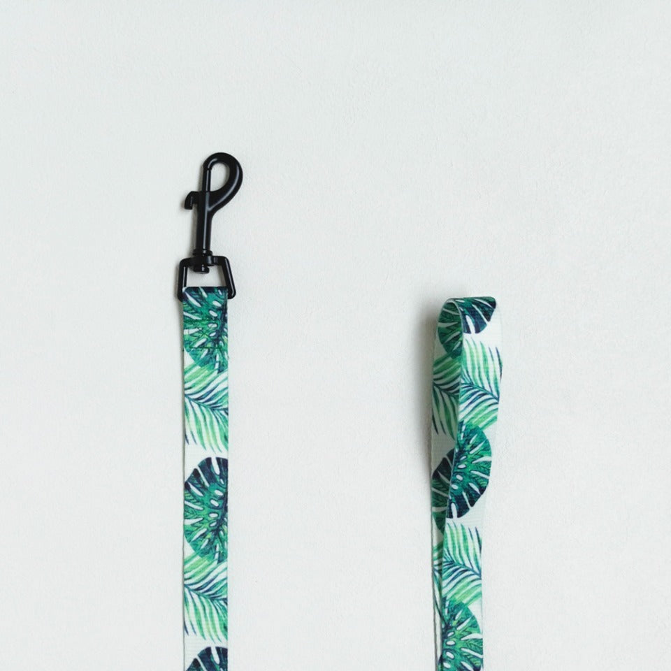 HKM-696019 Unicorn Pattern Breathable Mesh Chest Strap with Traction Rope for Pets