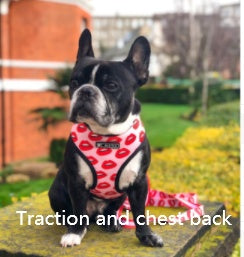 HKM-696019 Unicorn Pattern Breathable Mesh Chest Strap with Traction Rope for Pets