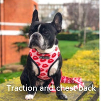HKM-696019 Unicorn Pattern Breathable Mesh Chest Strap with Traction Rope for Pets