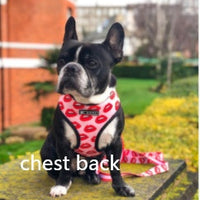 HKM-696019 Unicorn Pattern Breathable Mesh Chest Strap with Traction Rope for Pets