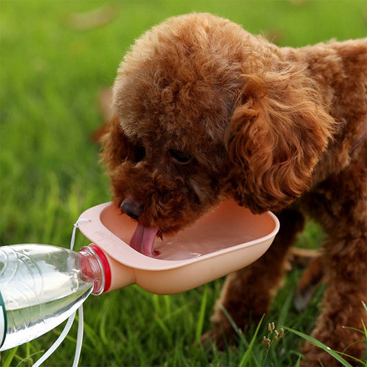 HKM-702611 Portable Candy-Colored Pet Drinking Bowl - Plastic, 13cm x 9cm, Available in Multiple Colors