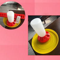 HKM-707283 Bird Water Bottle and Feeders Set for Pigeons - Includes Wide and Narrow Troughs