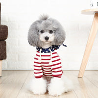 HKM-708755 Two-Legged Cat Costume for Small Dogs, Casual Knitted Fabric Outfit for Spring and Autumn Travel