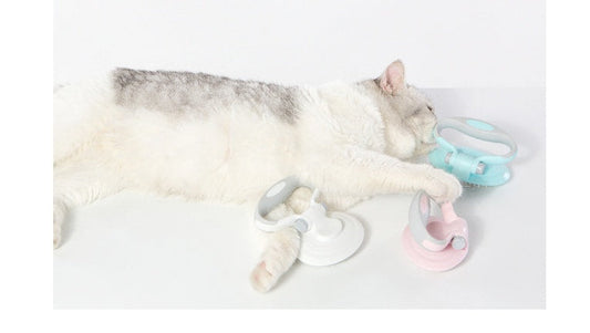 HKM-709267 Self-Cleaning Pet Wire Brush in White, Pink, and Blue - Plastic Comb Brush