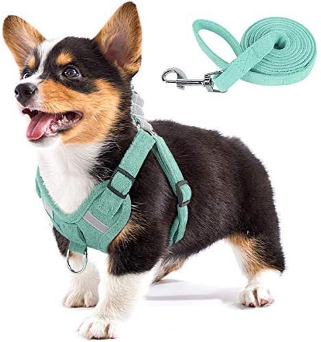 HKM-709843 Reflective No-Pull Dog Harness with LED Lights and Adjustable Comfort Strap